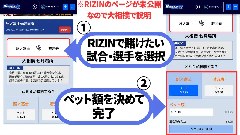 ビーベットの入金方法を説明した画像