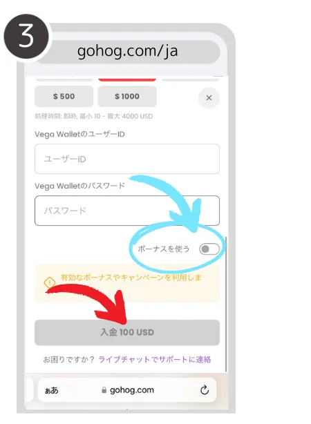 ゴーホグカジノ(Gohog)の入金方法について説明している画像③