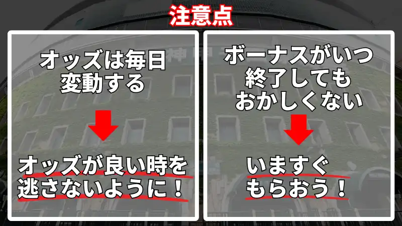 甲子園に賭ける際の注意点を説明した画像